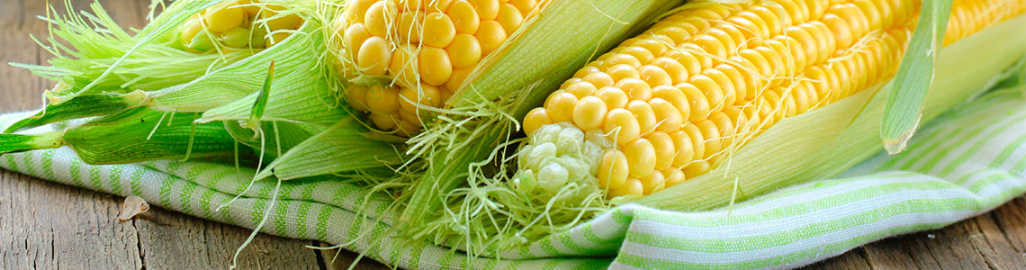 ООО «Амилко»